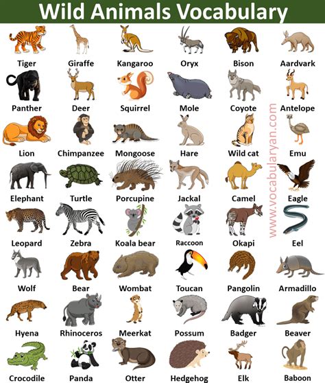 Wild Animals: List of 140+ Wild Animals Names in English.